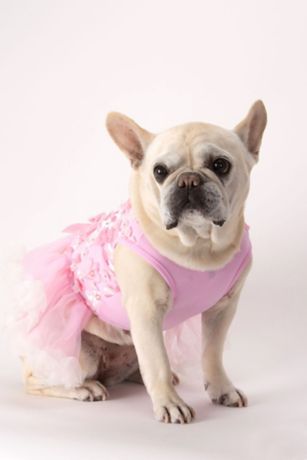 Laxury Dog Dress Blessing Babies【Bliss】